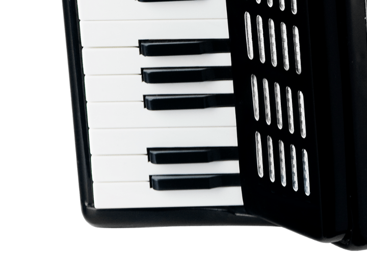 Estrutura Madeira Nobr e Palhetas Inox