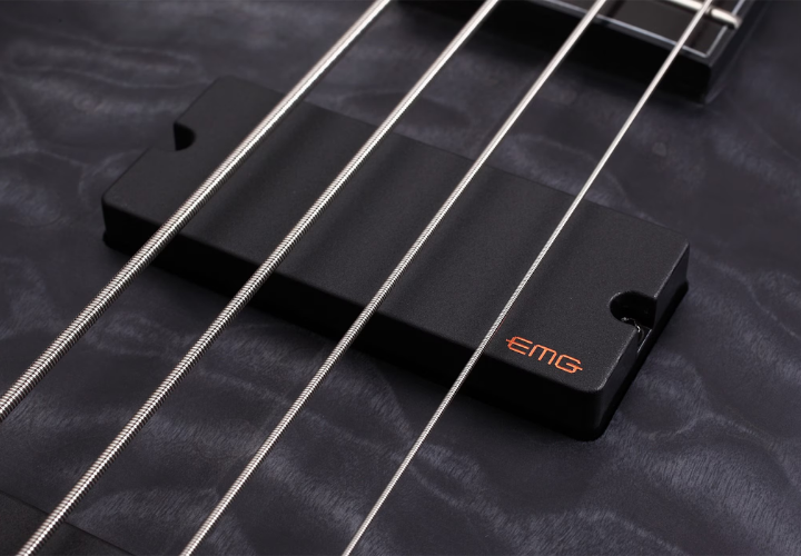 Tarraxas Schecter Locking