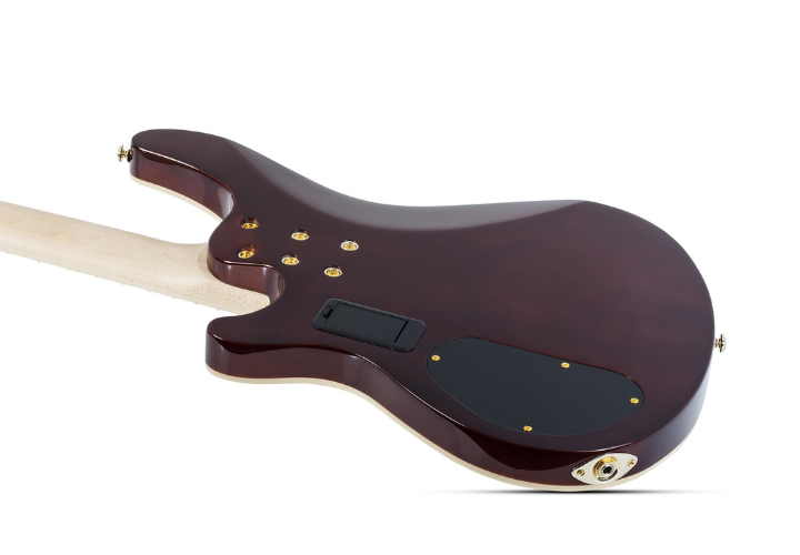 Ponte Schecter Diamond Bass