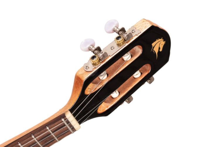 Corpo Laminado Preto Brilho