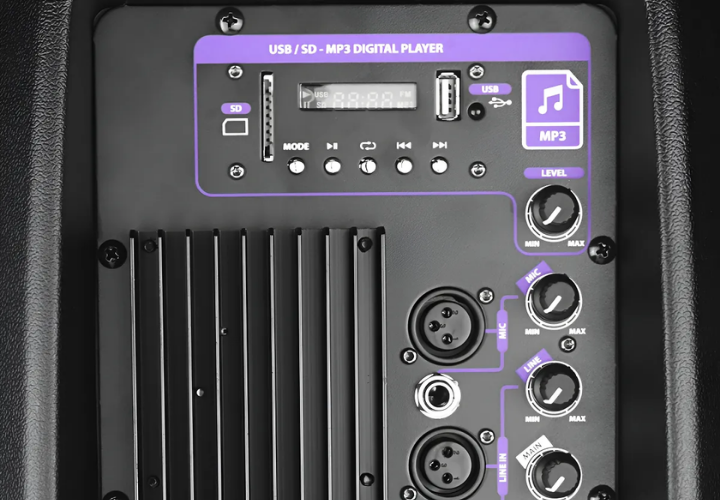 Entradas Mic XLR e P10 Profissionais