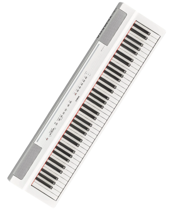 Pianos Digitais