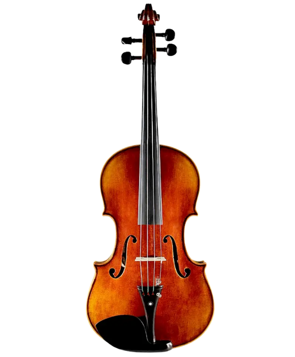 Violas de Arco