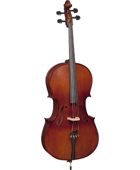 Violoncellos