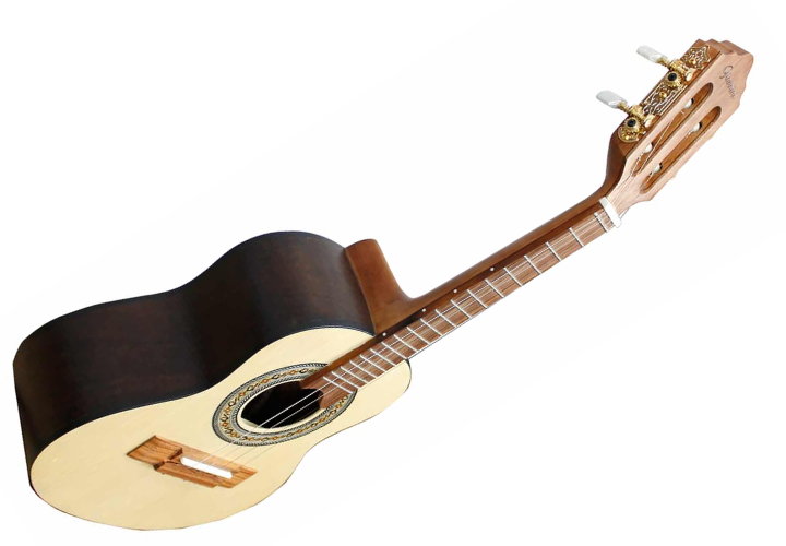 Braço Cedro Brasileiro