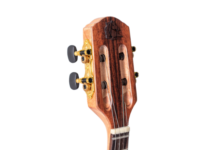 Braço Cedro e Escala Rosewood