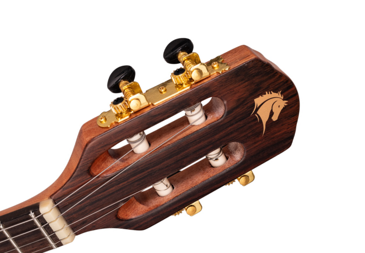 Captador Passivo Cap-06