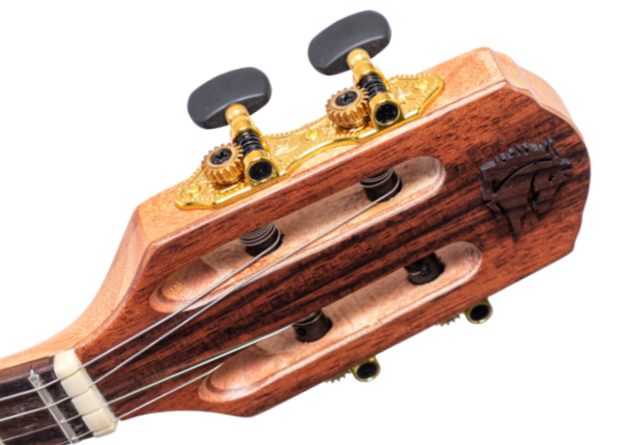 Captador Passivo Cap-06