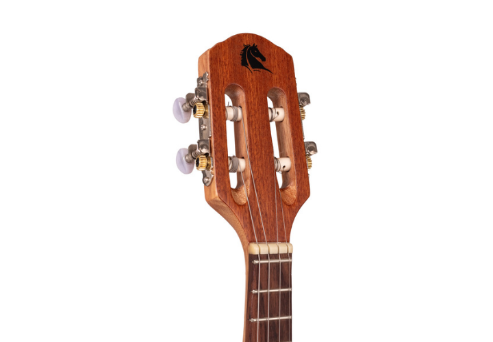 Captador Passivo Cap-06