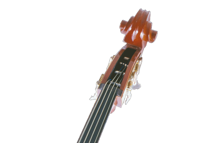 Tampo Spruce Avermelhado