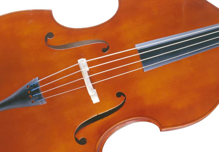 Arco Crina Animal e Tarraxas Douradas