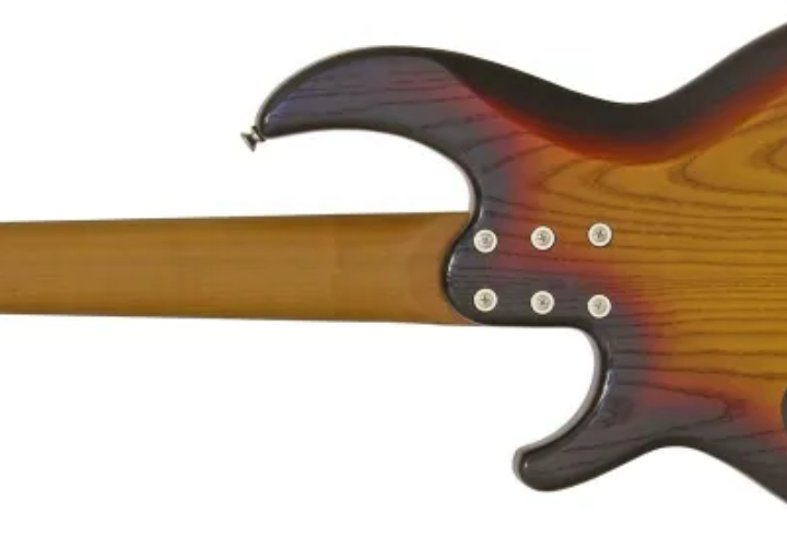 Corpo Basswood 5 Cordas