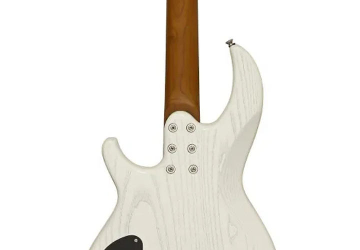 Braço Roasted Maple Bolt-On