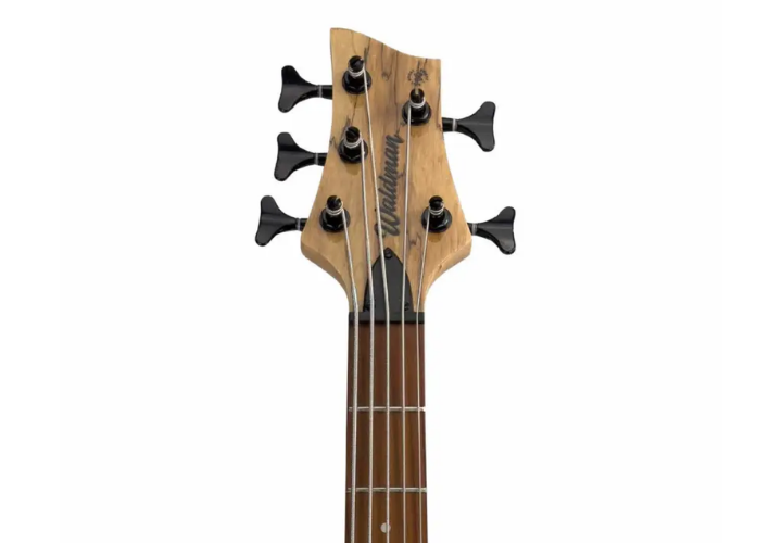 Corpo Basswood Spalted Natural