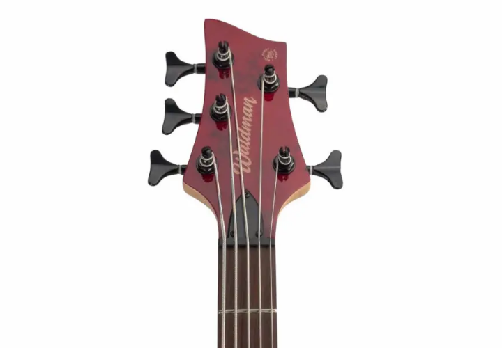 Corpo Basswood Spalted Red