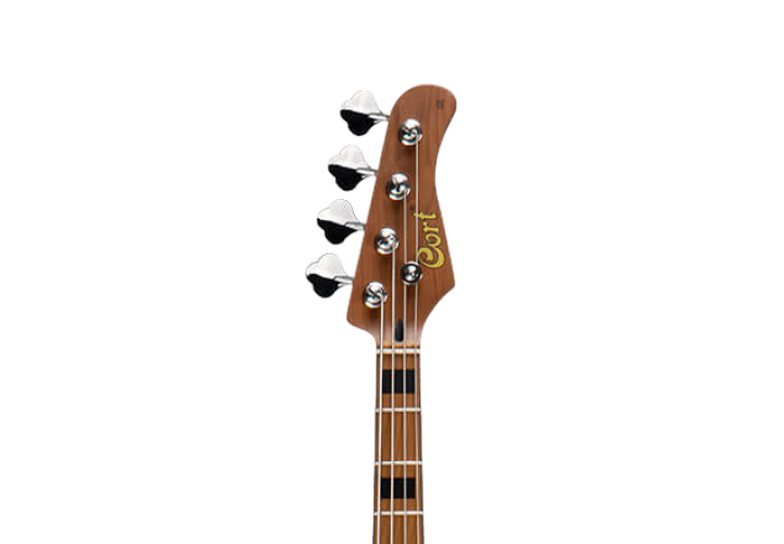 Flame Maple Top e Detalhes