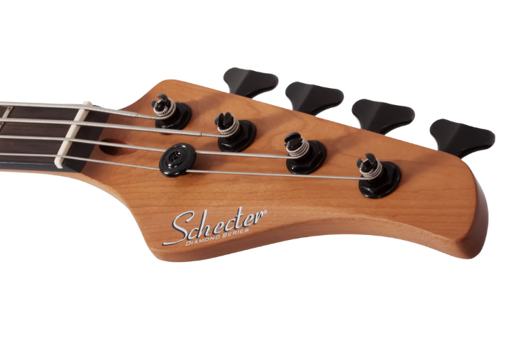 Ponte Schecter Custom