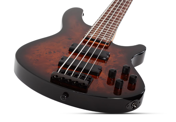 Ponte Schecter Custom