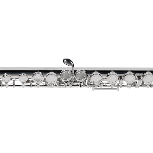 Case Mochila Robusto Agulha de Afinação Kit Limpeza