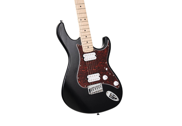 Braço Hard Maple com Escala Hard Maple e Ponte Hard Tail