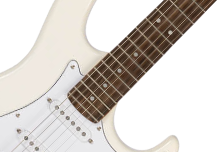 Braço em Roasted Maple e Escala em Pau Ferro