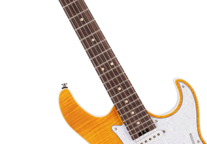 Braço Hard Maple Ergo-V