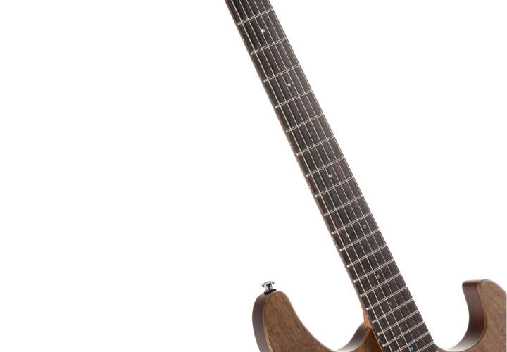 Ponte Tremolo de 2 Pontos