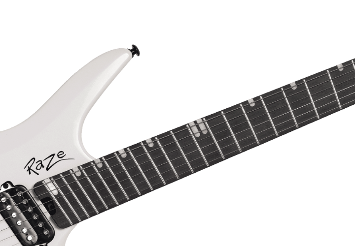 Braço Roasted Maple e Escala Purple Heart