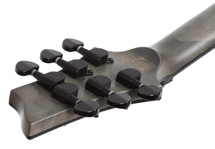 Ponte Floyd Rose Special