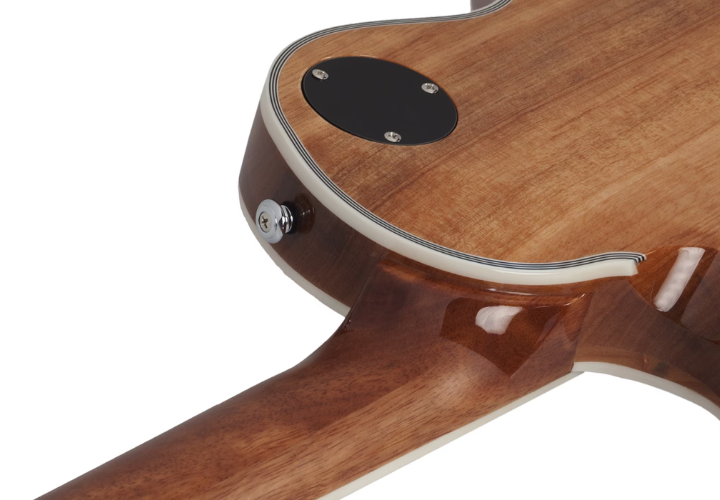 Captadores Schecter USA Pasadena Plus