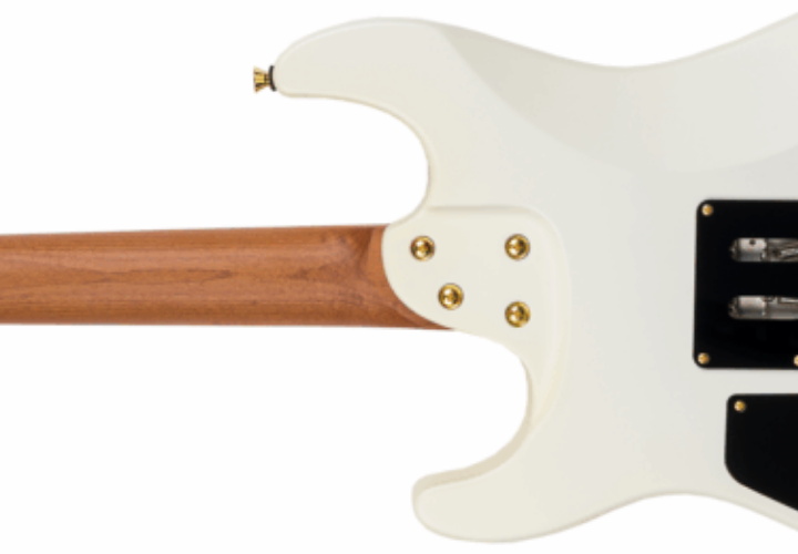 Braço Roasted Maple C Thin