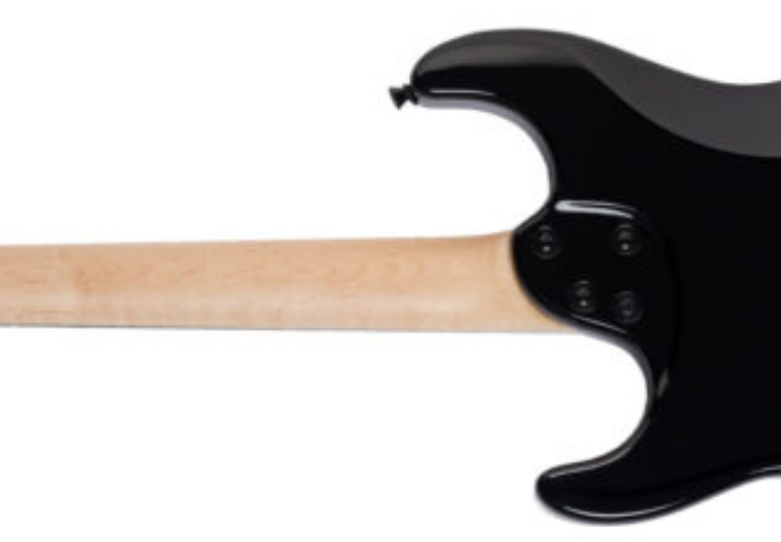 Ponte Flutuante 2 Pivôs