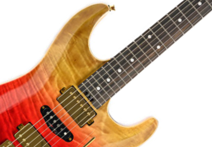 Bag Inclusa para Transporte