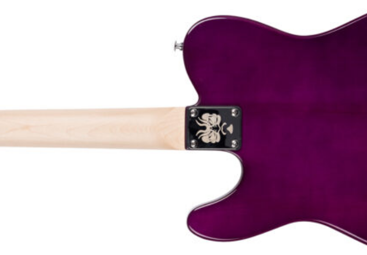 Braço Maple C Thin + Escala Raio 12