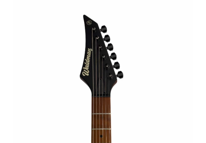 Escala Roasted Maple 24 Trastes