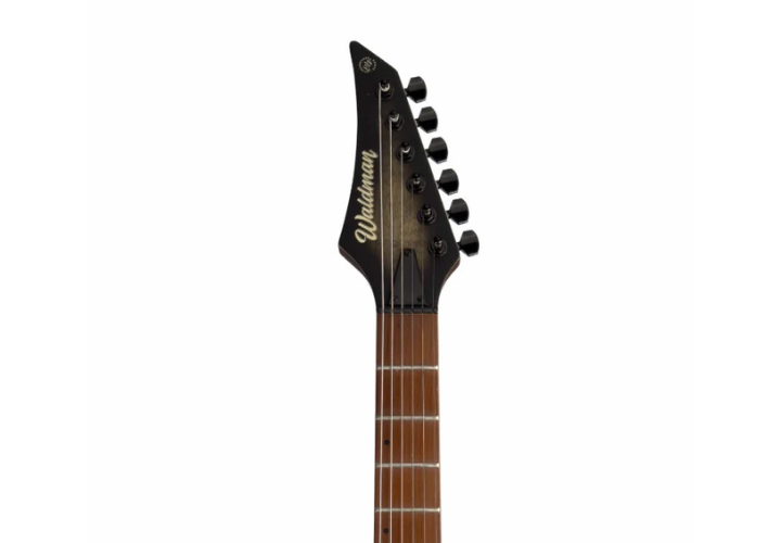 Escala Roasted Maple 24 Trastes Jumbo