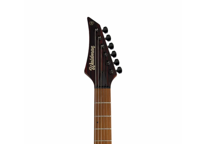 Escala Roasted Maple 24 Trastes Jumbo