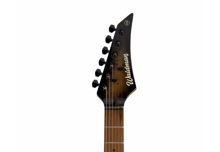 Corpo Basswood Spalted Brown Burst