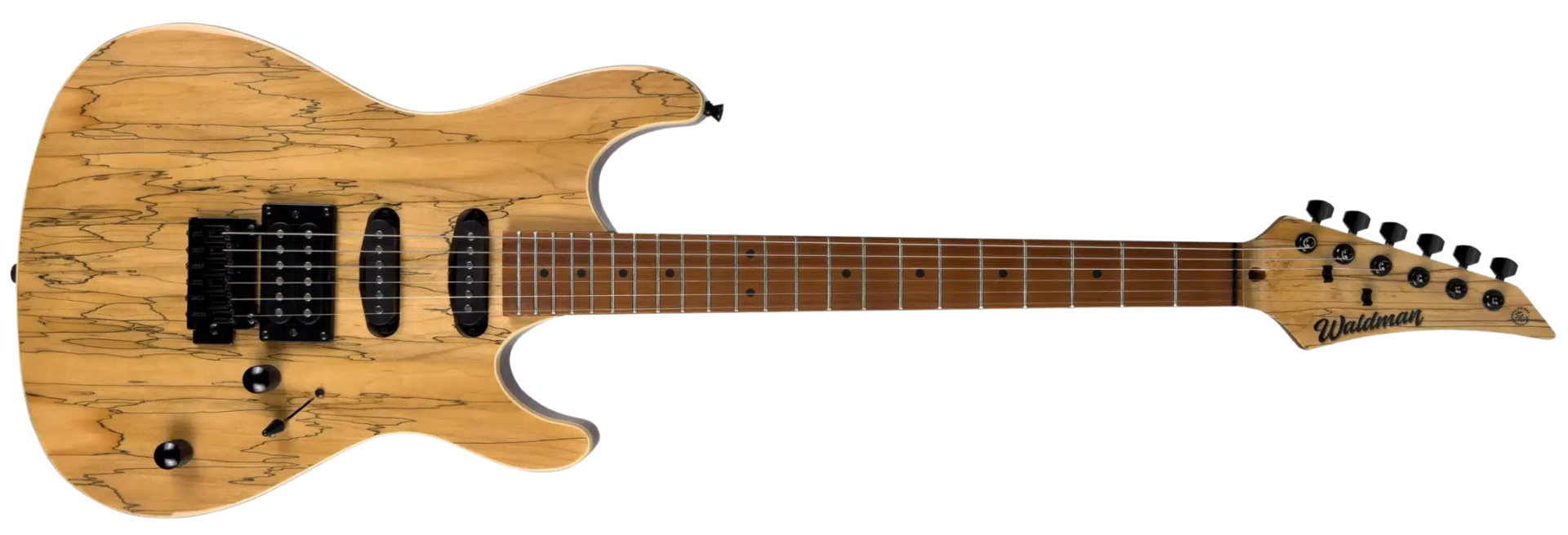 Guitarra Waldman WIS160 SNT Spalted Natural
