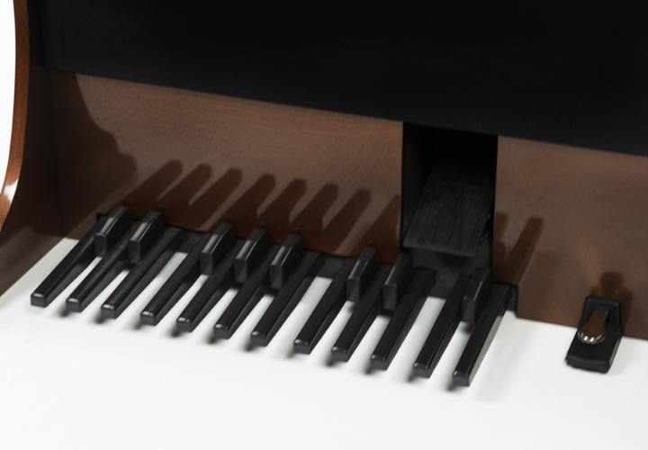 Pedaleira de 20 Pedais