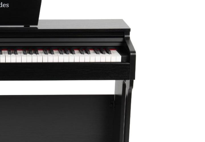 Teclado 88 Teclas Pesadas