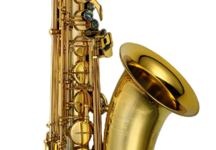 Tubo de Corpo Ampliado Gold Lacquer