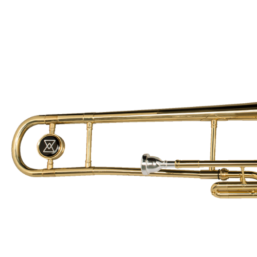 Campana Laqueada 205mm