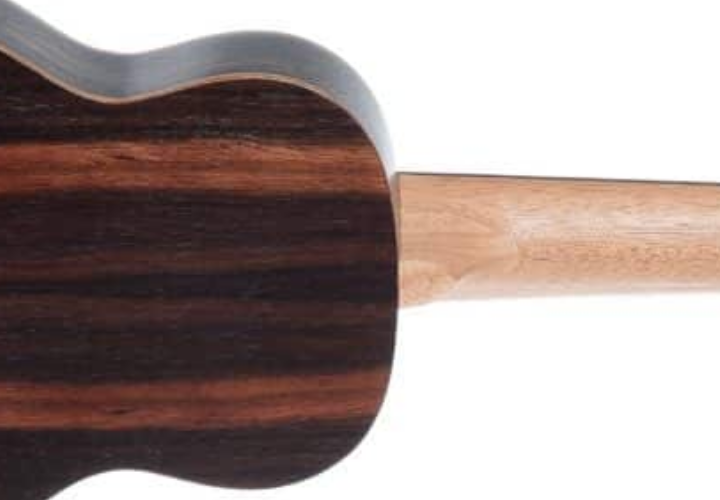 Nut e Rastilho em Osso