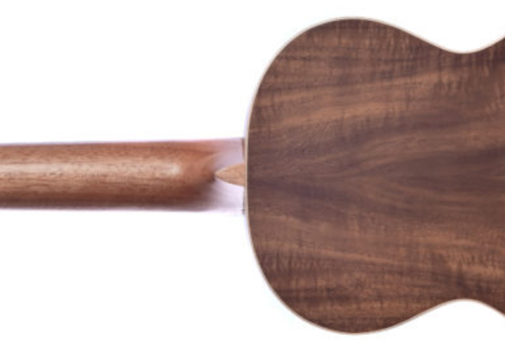 Nut e Rastilho em Osso