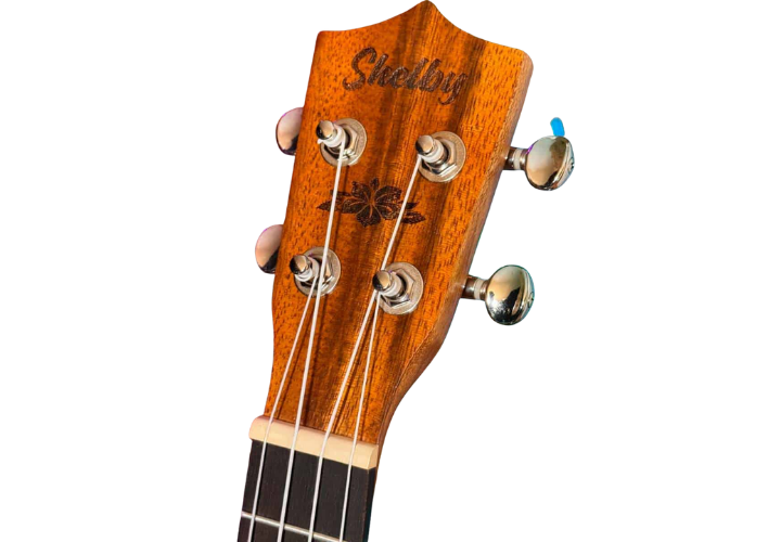 Fundo Jacarandá Indiano