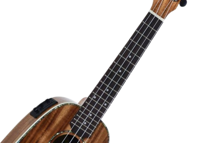 Nut e Rastilho em Osso e Detalhes no Headstock