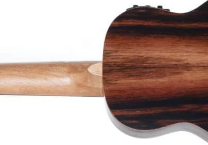 Nut e Rastilho em Osso