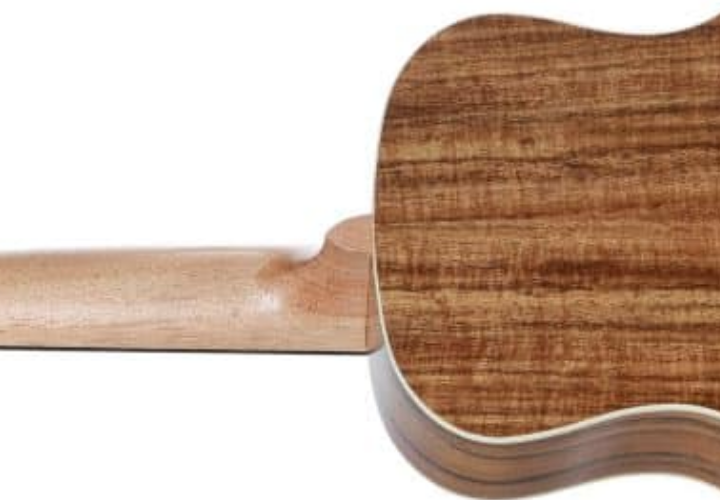 Nut e Rastilho em Osso