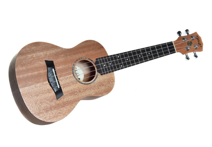 Nut e Rastilho em Bone